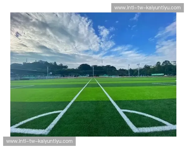 开云体育球场草皮：从草坪到赛场的智能革新